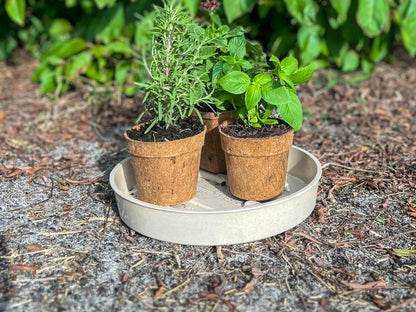 12" Bamboo Fiber Plant Saucer